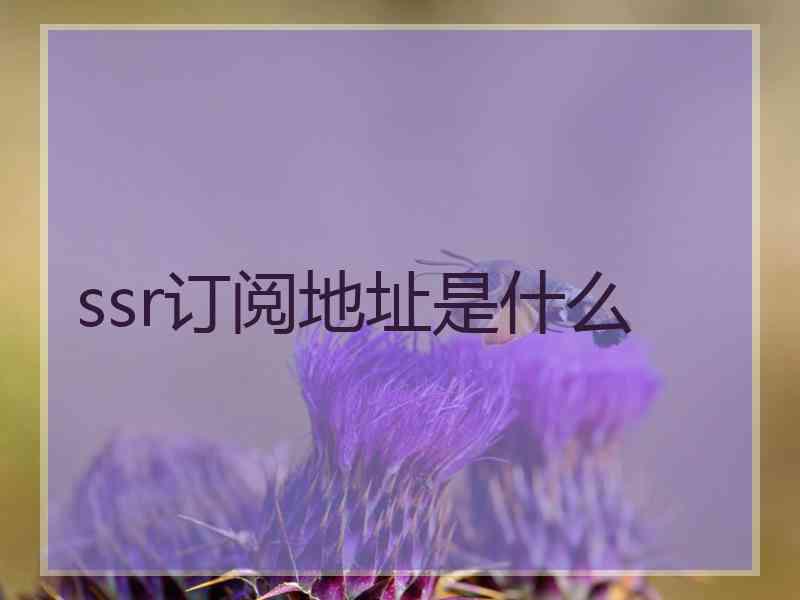 ssr订阅地址是什么