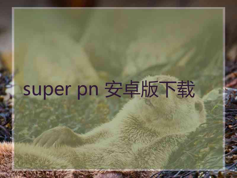 super pn 安卓版下载