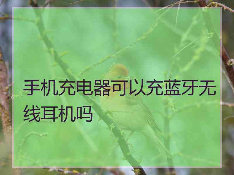 手机充电器可以充蓝牙无线耳机吗