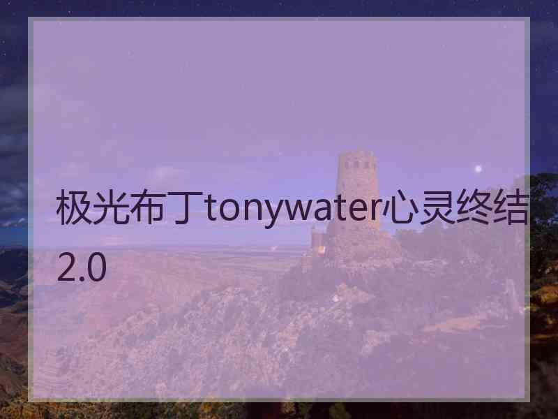 极光布丁tonywater心灵终结2.0