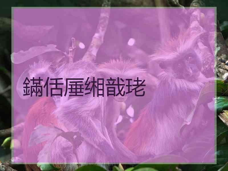 鏋佸厜缃戠珯