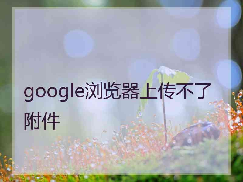 google浏览器上传不了附件