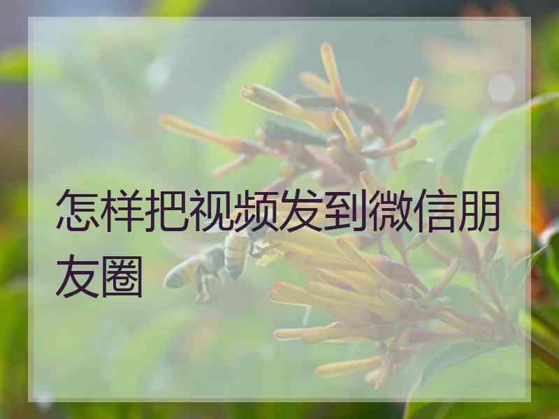 怎样把视频发到微信朋友圈