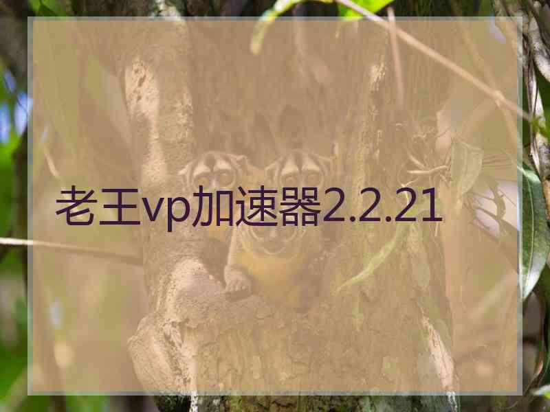 老王vp加速器2.2.21