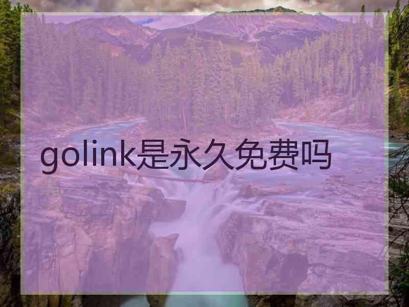 golink是永久免费吗