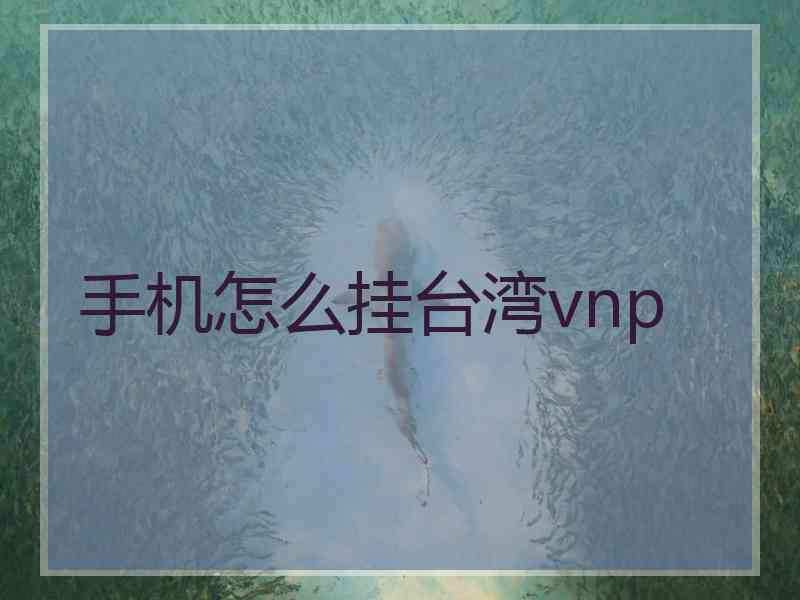 手机怎么挂台湾vnp