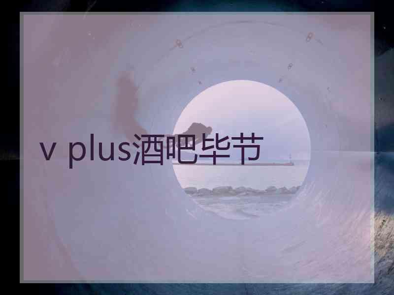 v plus酒吧毕节