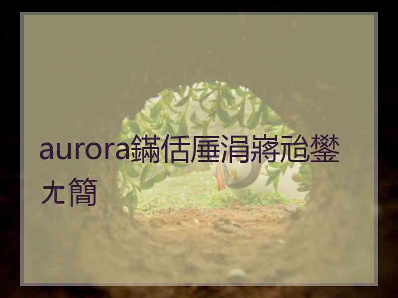 aurora鏋佸厜涓嶈兘鐢ㄤ簡