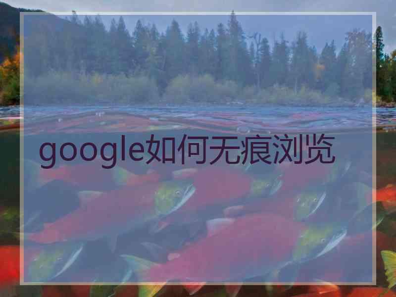 google如何无痕浏览