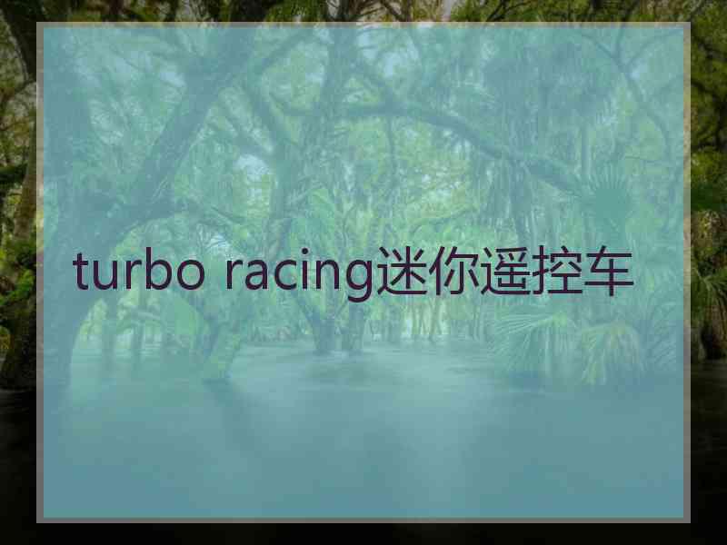 turbo racing迷你遥控车