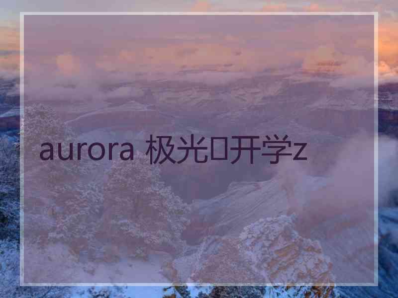 aurora 极光✨开学z