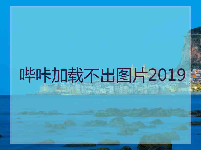 哔咔加载不出图片2019