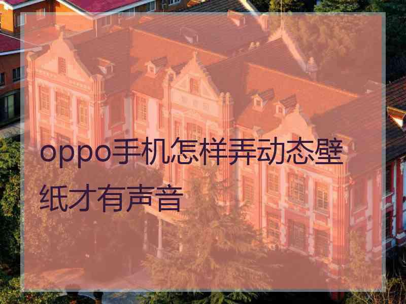 oppo手机怎样弄动态壁纸才有声音