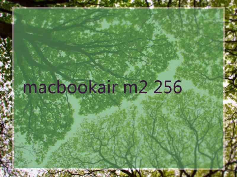 macbookair m2 256