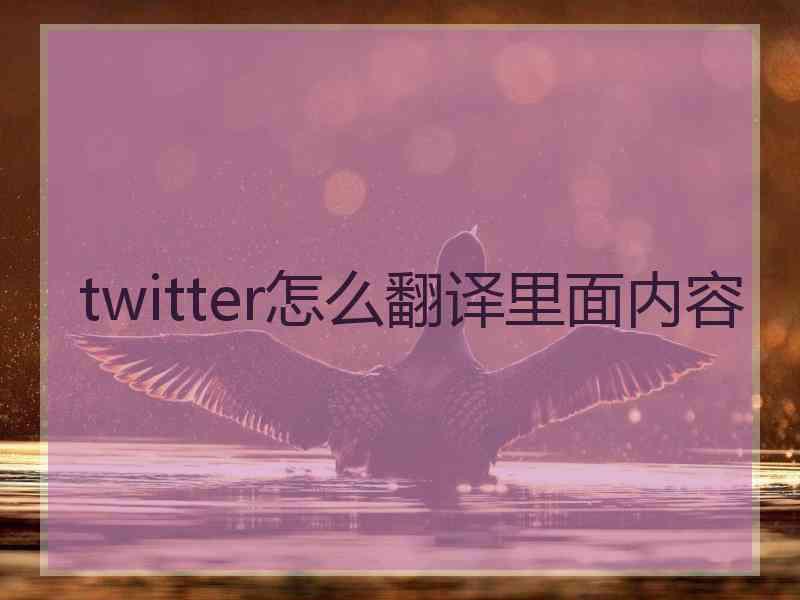 twitter怎么翻译里面内容