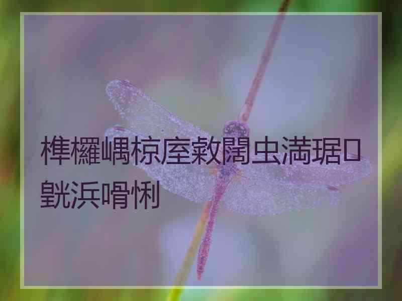 榫欏嵎椋庢敹闊虫満琚皝浜嗗悧