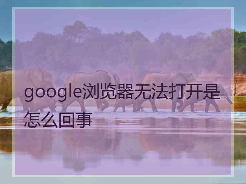 google浏览器无法打开是怎么回事