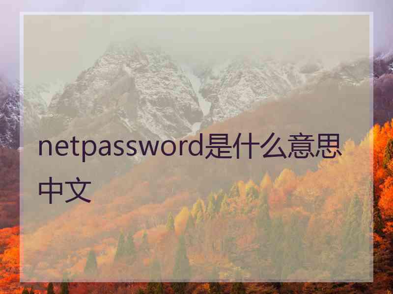 netpassword是什么意思中文