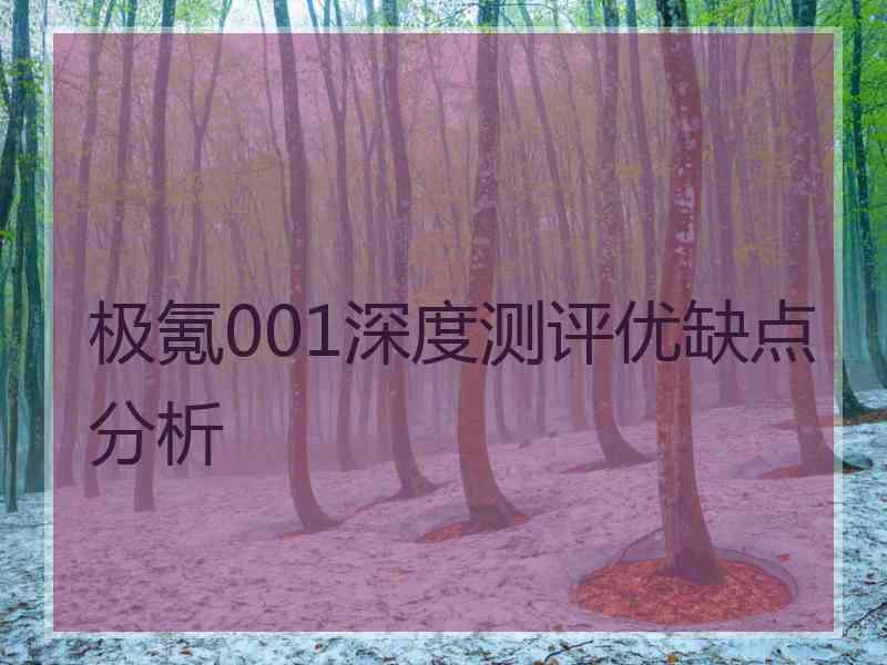 极氪001深度测评优缺点分析