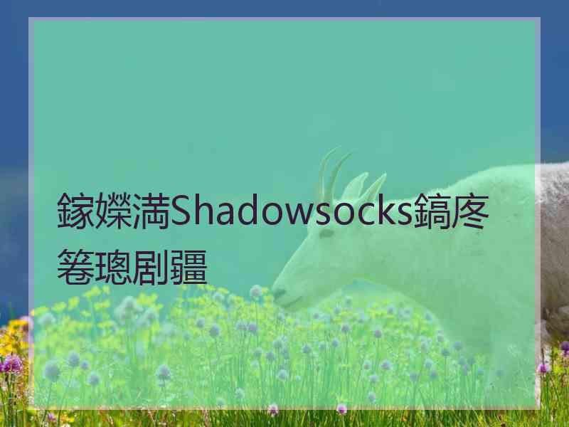 鎵嬫満Shadowsocks鎬庝箞璁剧疆