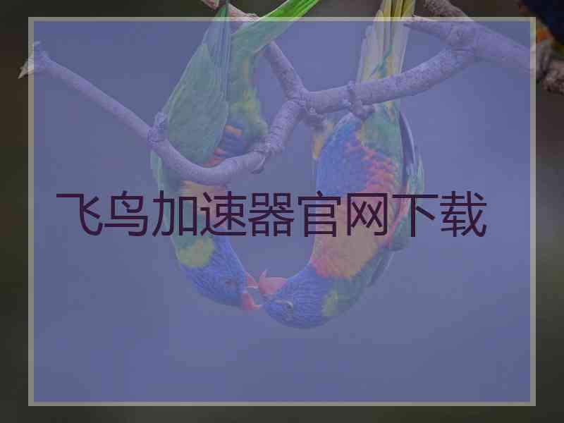 飞鸟加速器官网下载