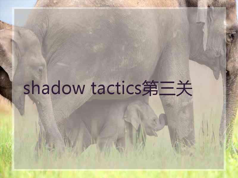 shadow tactics第三关