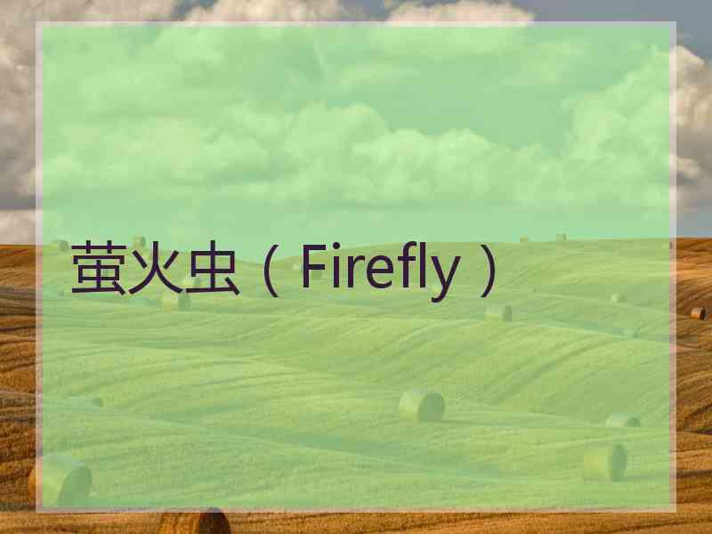 萤火虫（Firefly）