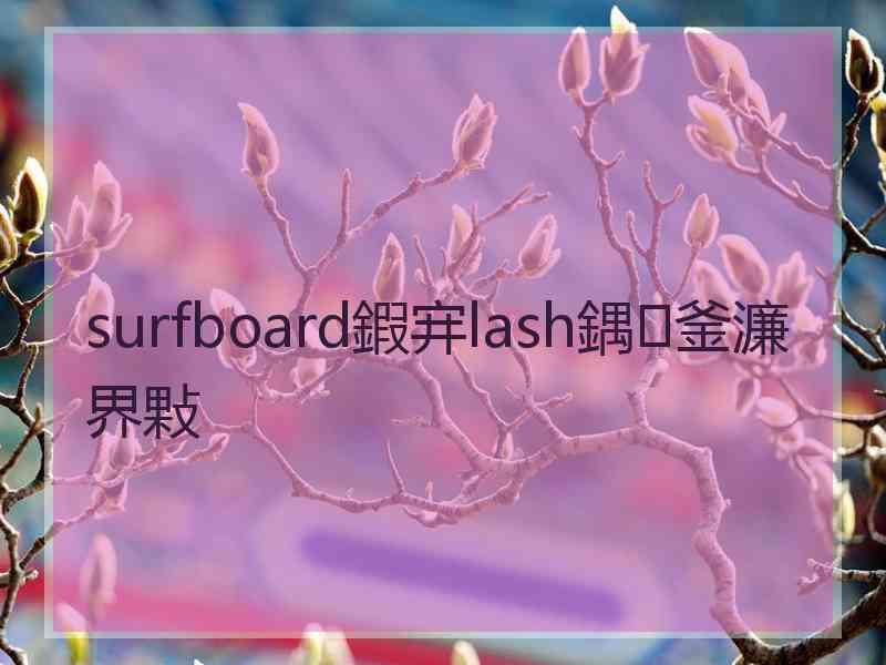 surfboard鍜宑lash鍝釜濂界敤