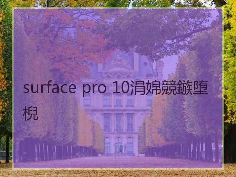 surface pro 10涓婂競鏃堕棿