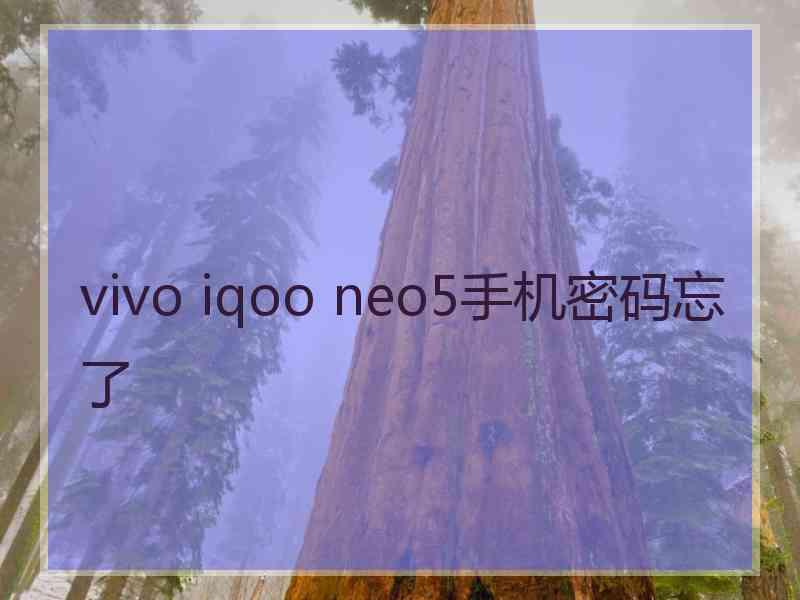 vivo iqoo neo5手机密码忘了