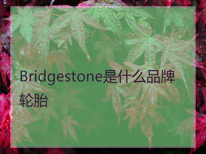 Bridgestone是什么品牌轮胎