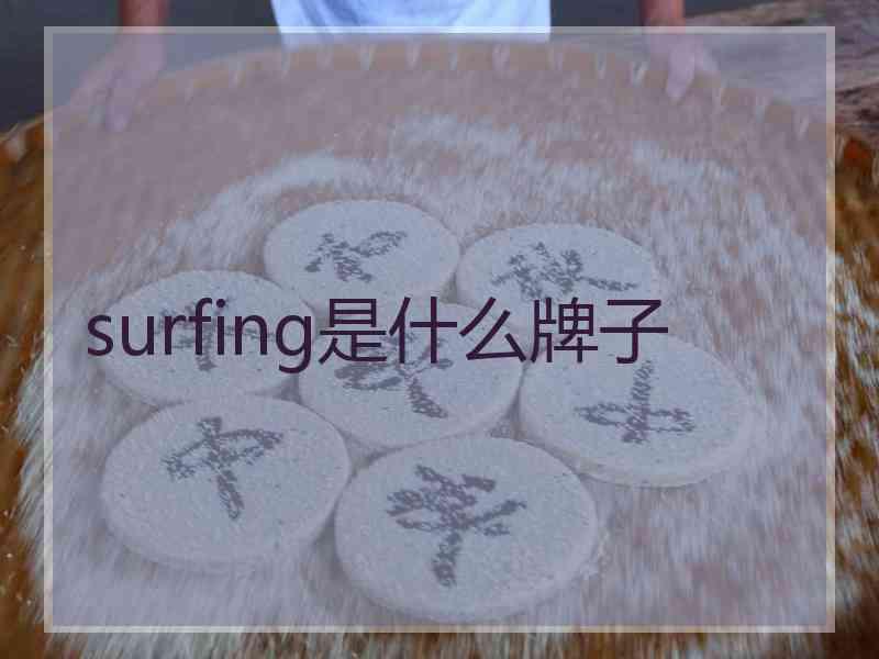 surfing是什么牌子