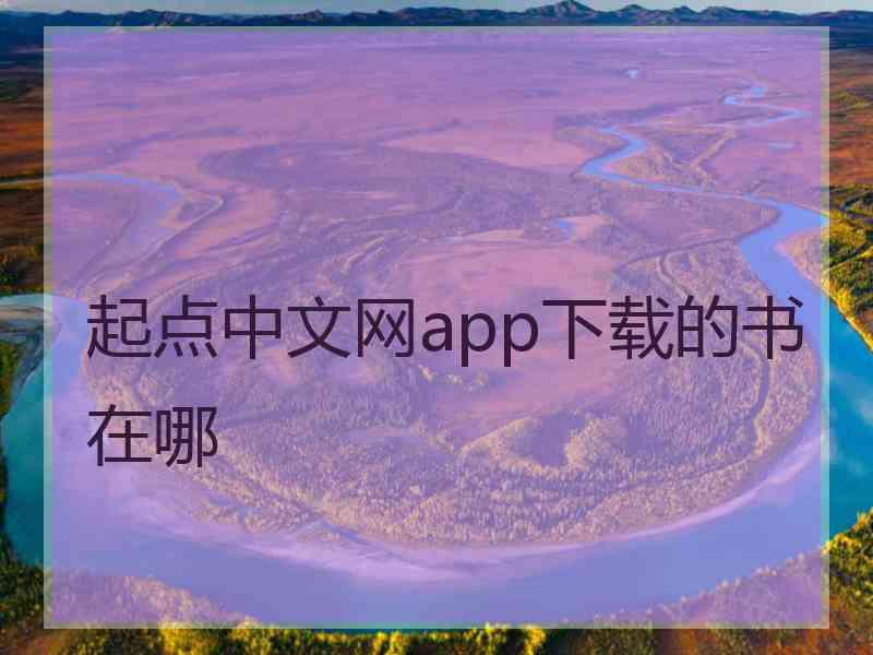 起点中文网app下载的书在哪