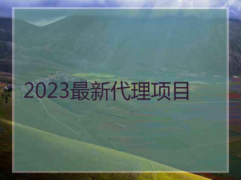 2023最新代理项目