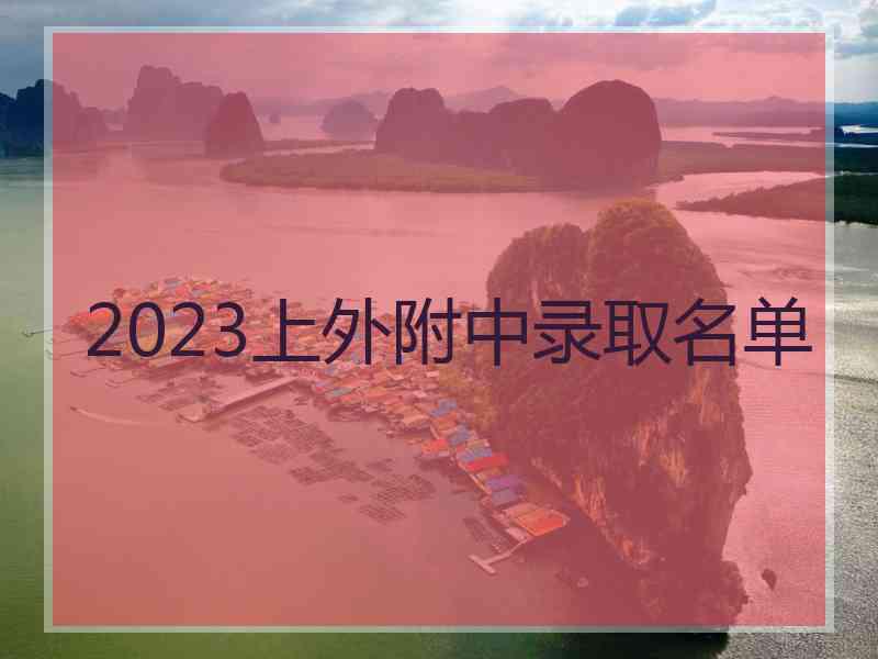 2023上外附中录取名单