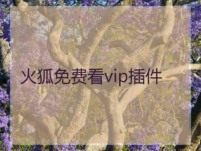 火狐免费看vip插件