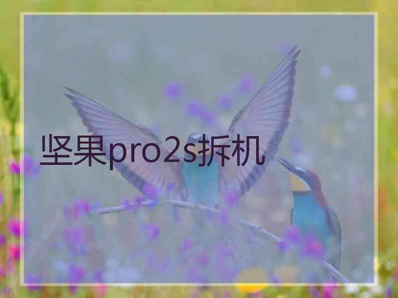 坚果pro2s拆机