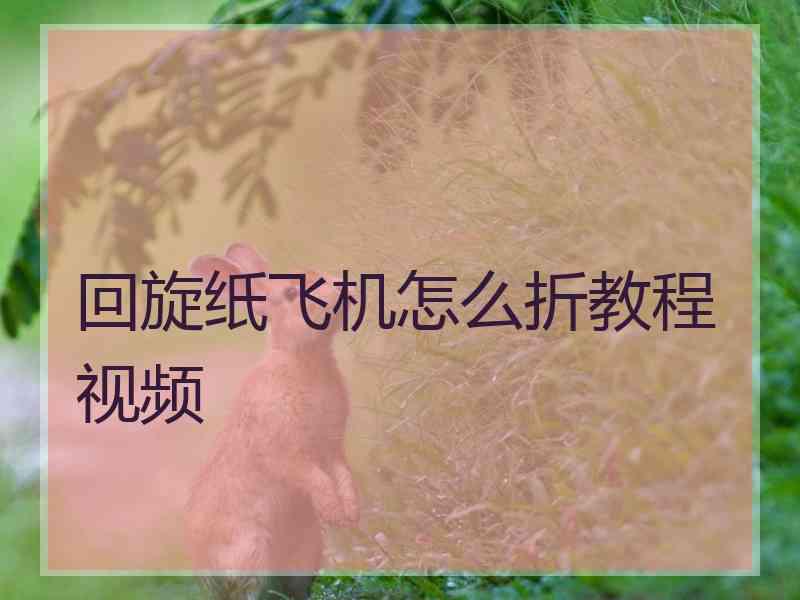 回旋纸飞机怎么折教程视频