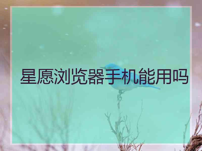 星愿浏览器手机能用吗