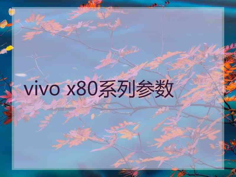 vivo x80系列参数