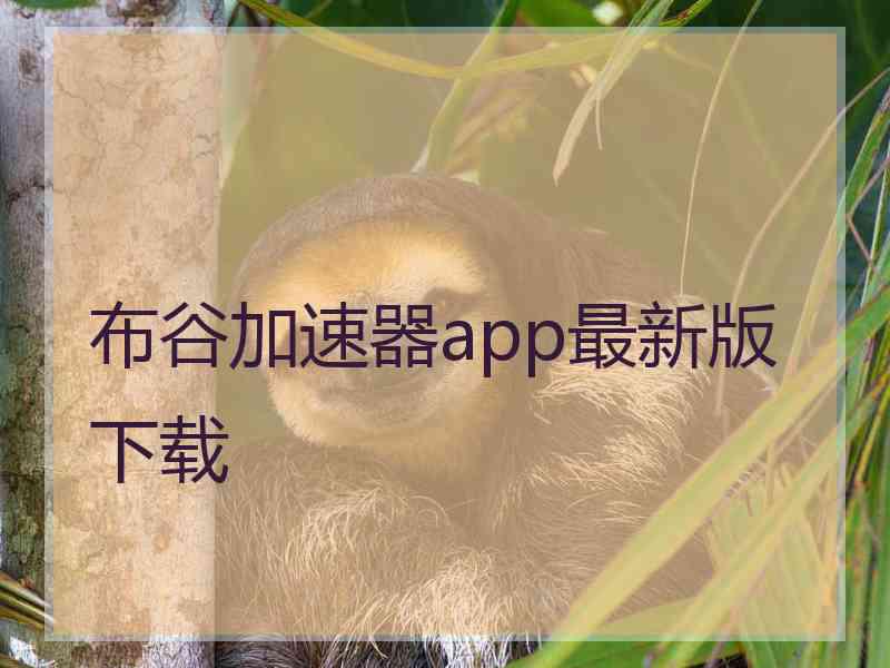 布谷加速器app最新版下载