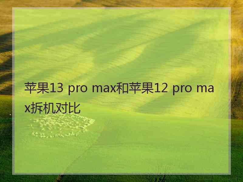 苹果13 pro max和苹果12 pro max拆机对比