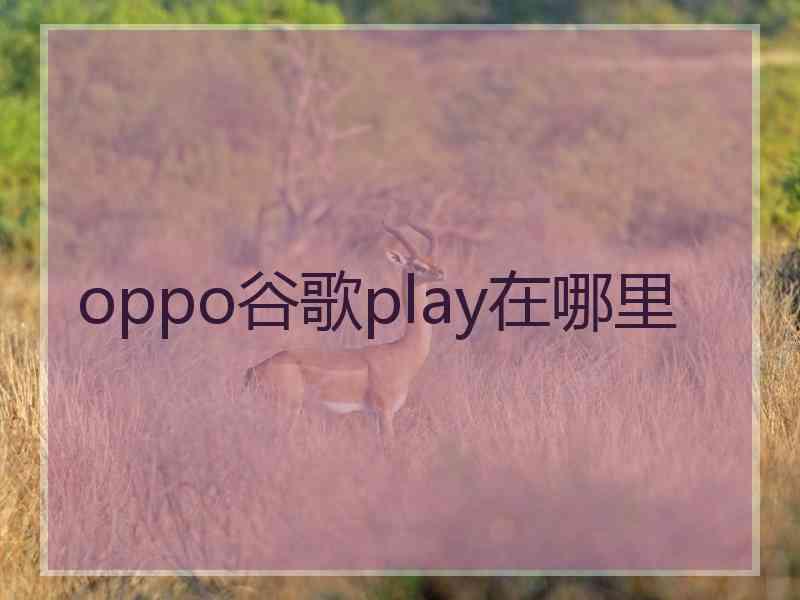 oppo谷歌play在哪里