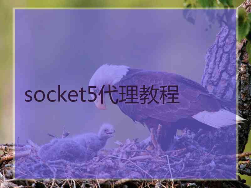 socket5代理教程