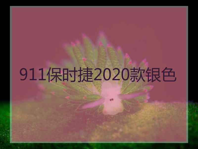 911保时捷2020款银色