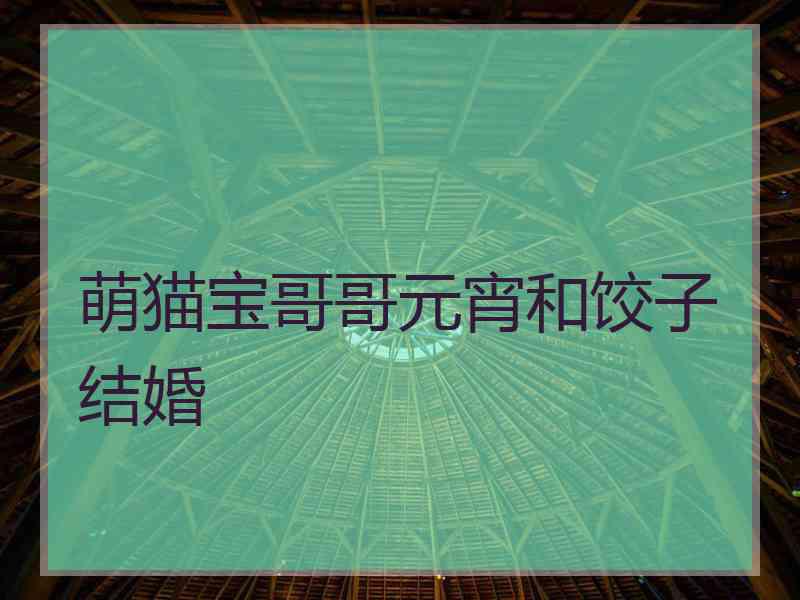 萌猫宝哥哥元宵和饺子结婚