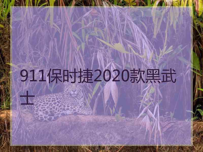 911保时捷2020款黑武士