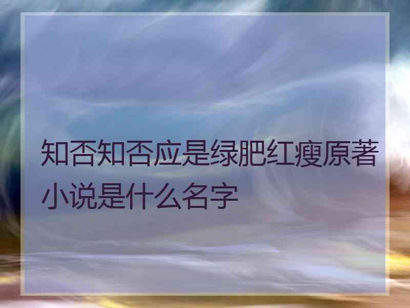 知否知否应是绿肥红瘦原著小说是什么名字