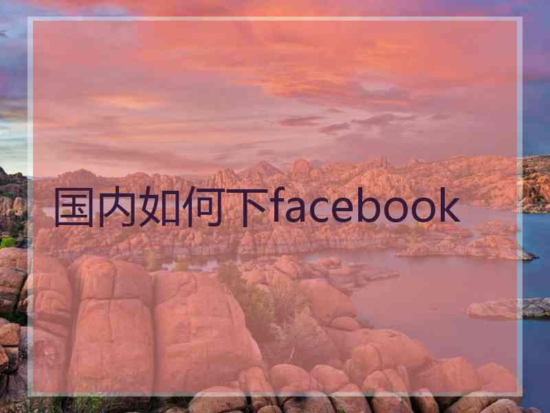 国内如何下facebook