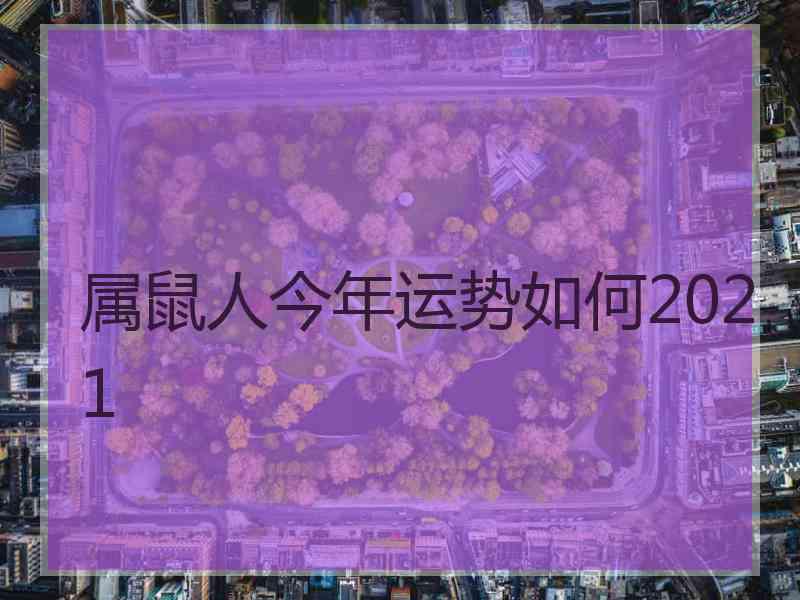 属鼠人今年运势如何2021